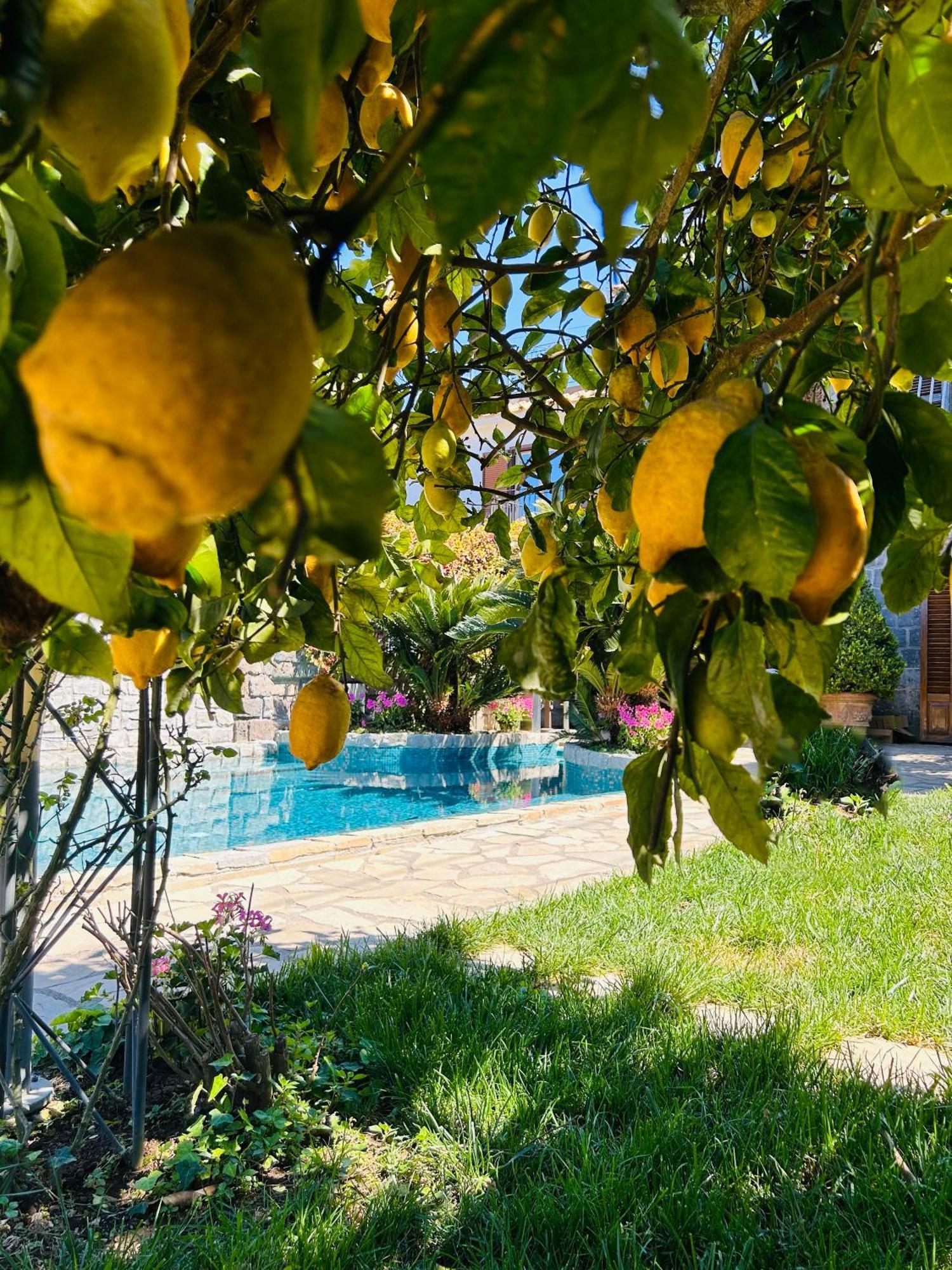 Maison Villa Angela Sant'Agata sui due Golfi Eksteriør billede